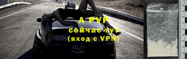 сатива Баксан