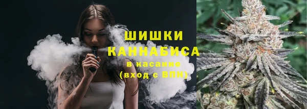 сатива Баксан