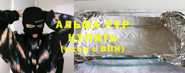 сатива Баксан