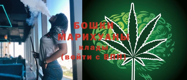 сатива Баксан