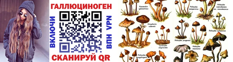 Галлюциногенные грибы Magic Shrooms  kraken вход  Баксан  цены  