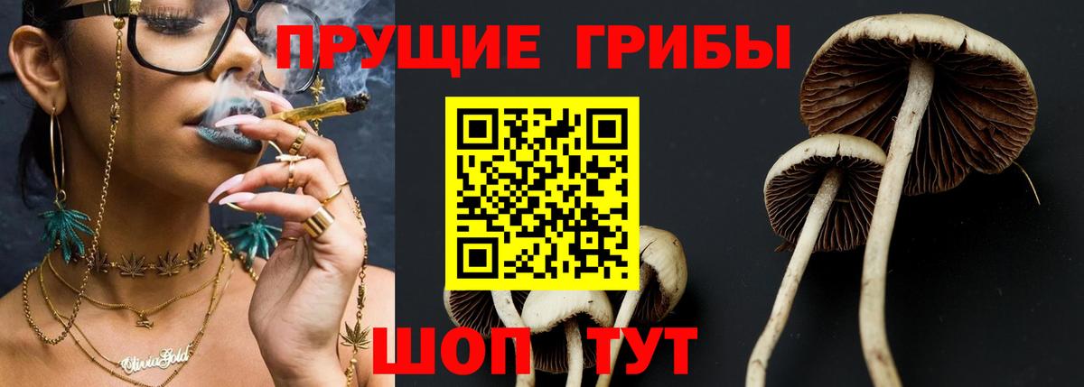 Псилоцибиновые грибы GOLDEN TEACHER Баксан