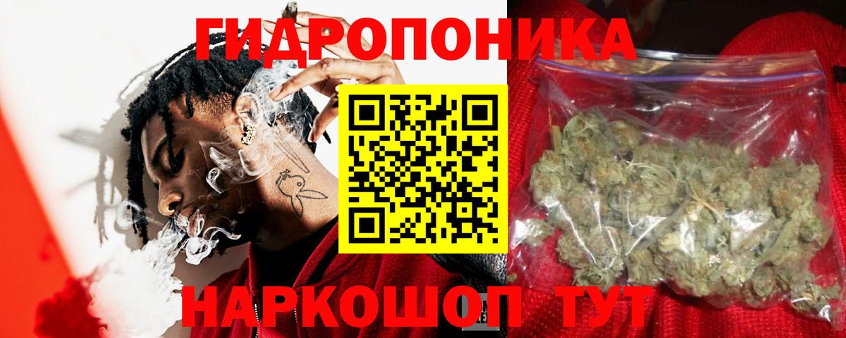 Бошки Шишки сатива Баксан